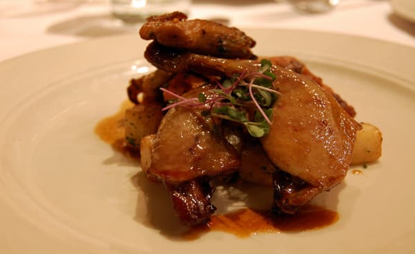 squab.jpg
