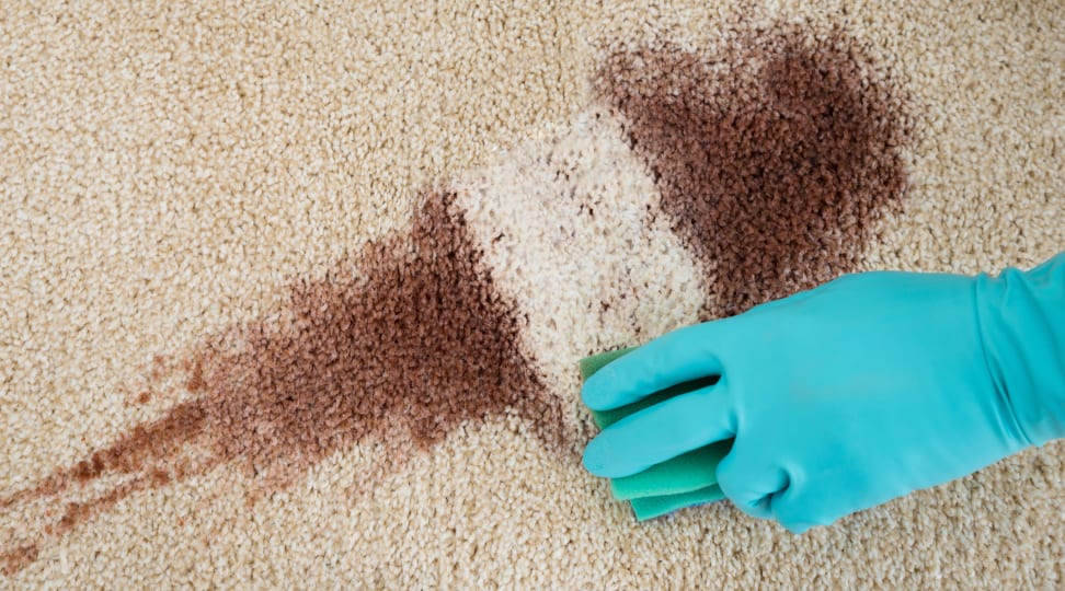 Cleaning stains out of carpet