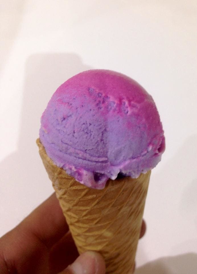 IceXperience Xameleón Ice Cream