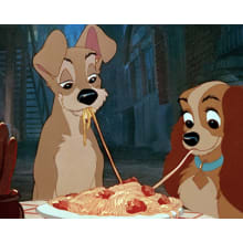 Product image of 'The Lady and the Tramp' (1995)