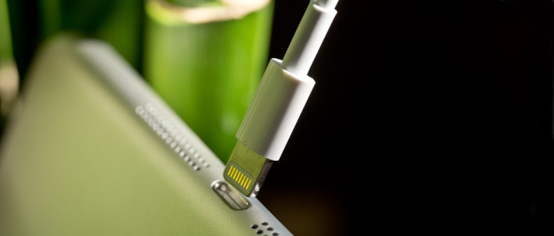 A photo of the Apple iPad mini 3's Lightning connector.