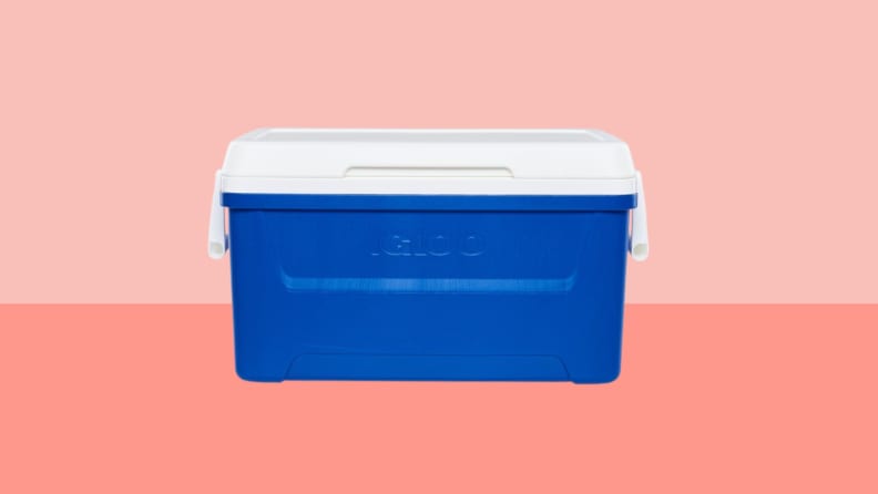 BLUE AND WHITE COOLER