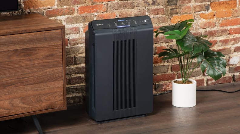A black Winix 5500-2 air purifier sits next to a potted plant.
