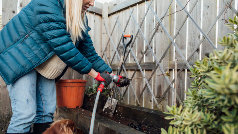 Person watering flowers next to dog outdoors.