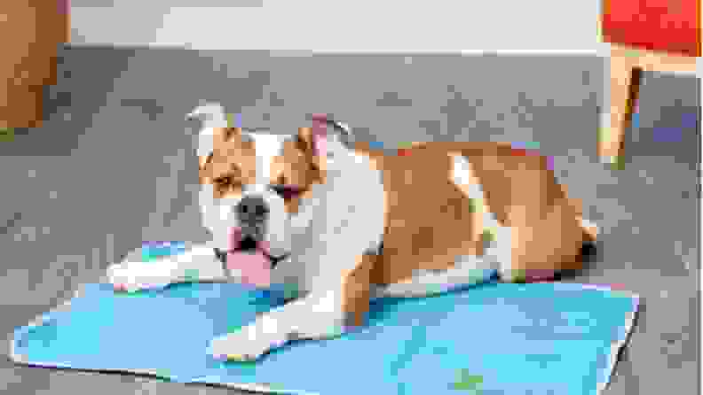 a dog lies on the Green Pet Shop cooling mat on a hardwood floor