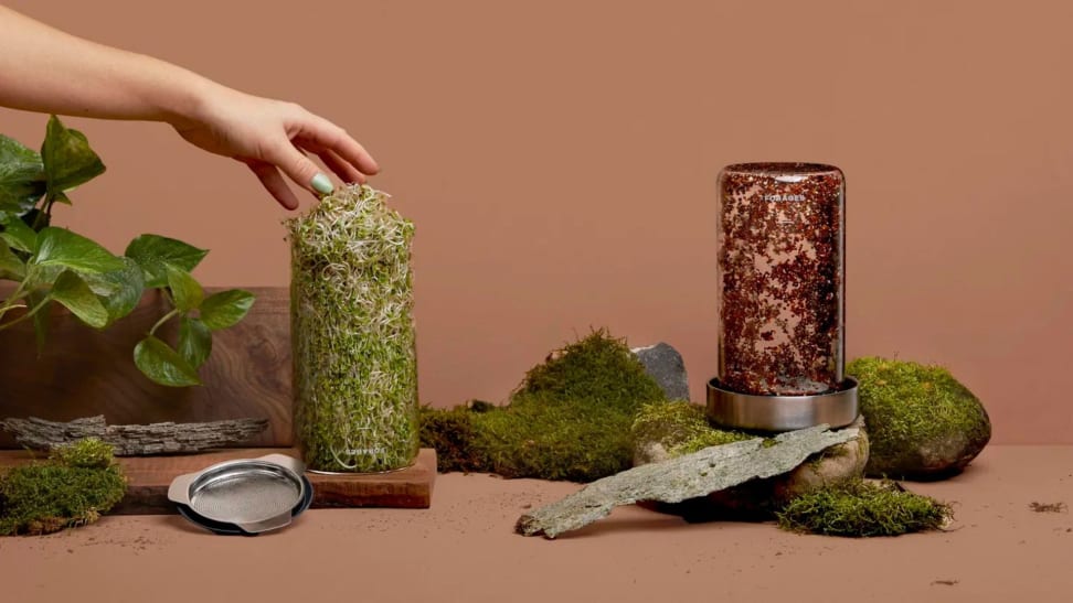 Forages sprout kit restock