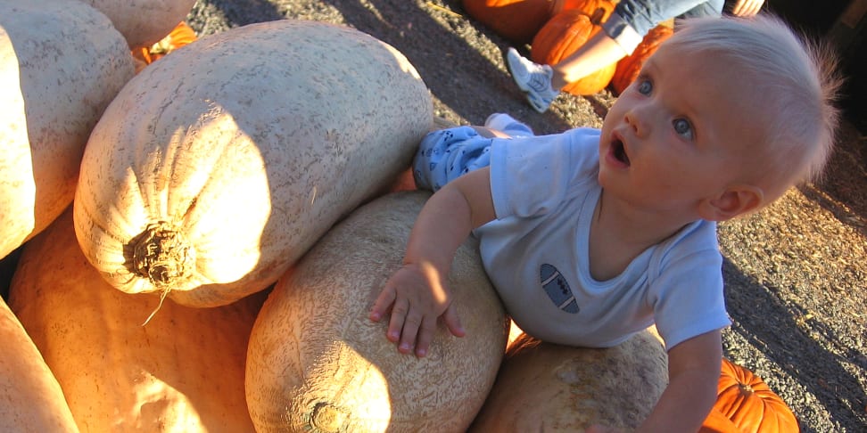 Baby on top of giant squash