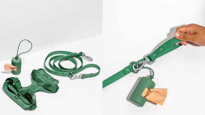 Wild One Harness Walk Kit