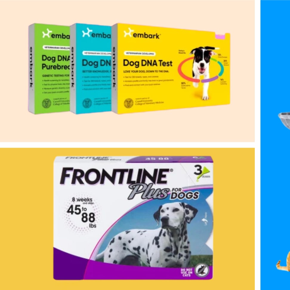 Embark dna clearance black friday
