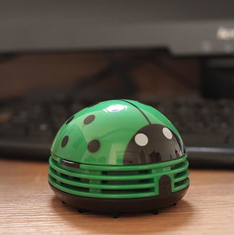 ladybug vacuum cleaner pool