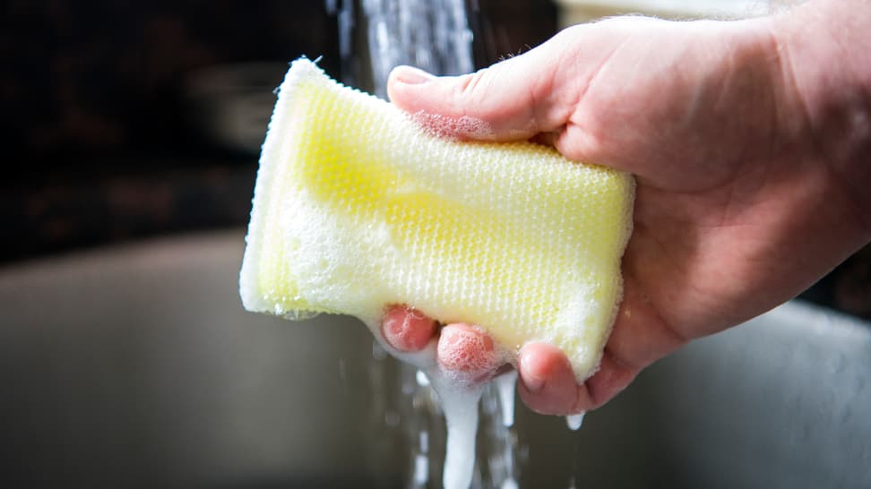 Image result for dish washing sponge worn out