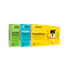 Product image of Embark Vet Dog DNA Test Kits