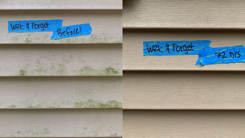 Wet & Forget outdoor stain remover cleaned up all the nasty green algae and mildew on my siding in about 72 hours.