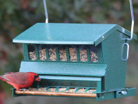A cardinal eats seeds from the blue-gray Heritage Farms Woodlink Absolute Squirrel Resistant Bird Feeder.