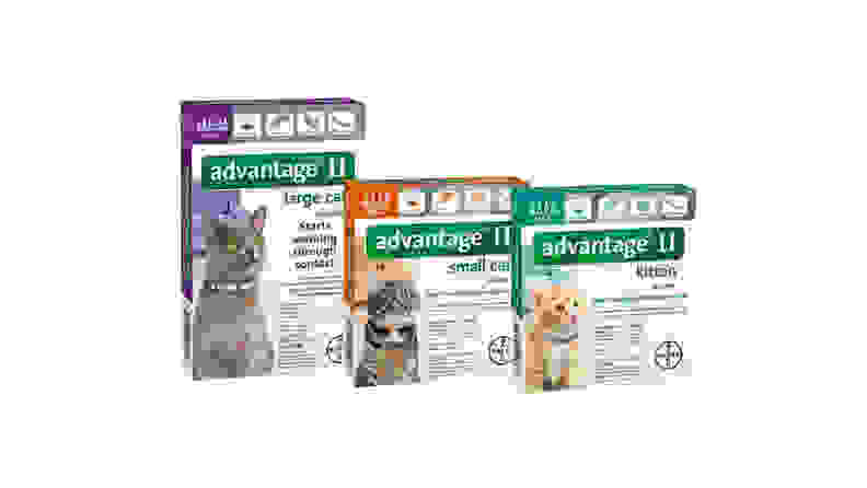 Avantage II cat medicine