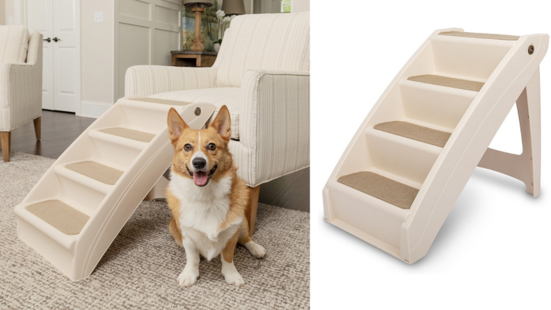 Portable pet stairs