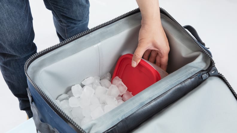 The Best Portable Soft-Sided Coolers for Summer 2021 - Carryology