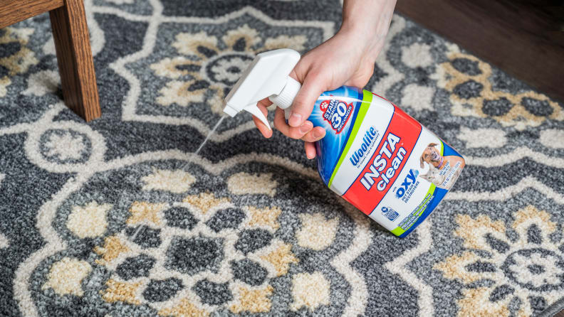 5 Best Carpet Stain Removers 2024 Reviewed