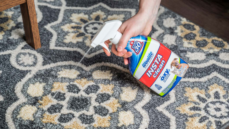 Woolite Carpet Cleaner Review 