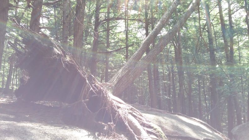 An example of the lens flare on with the LG G3's camera.