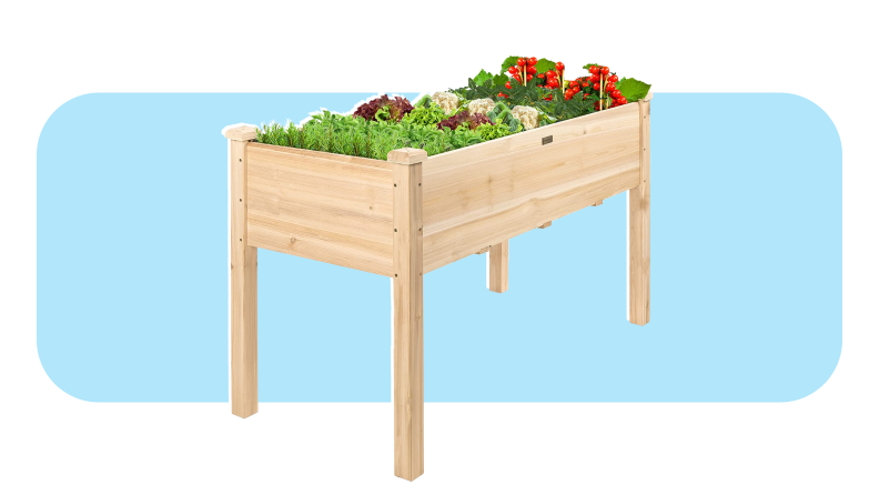 Product shot of wooden Best Choice Raised Garden Bed.