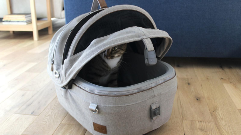 The Tavo Maeve Pet Car Seat on the floor with a cat inside.