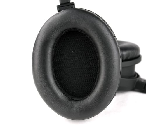 Speaker Image