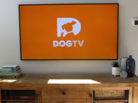 The orange DOGTV logo shown on a mounted TV.