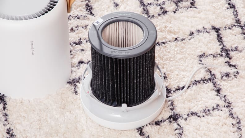 Pros and Cons of HEPA Filter Air Purifiers, Dissected - Molekule