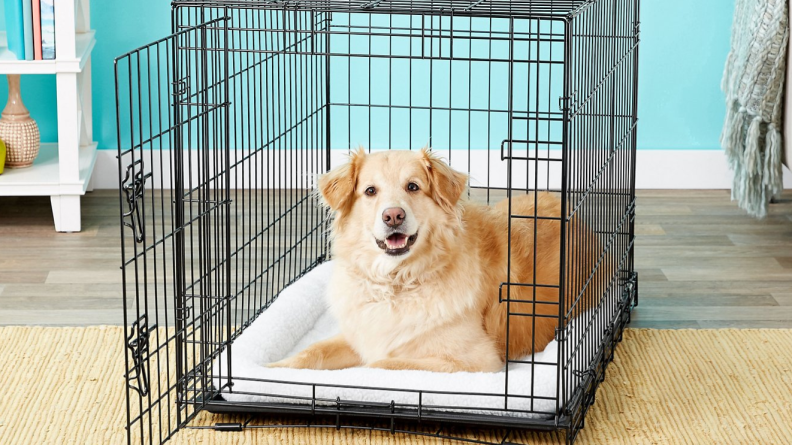 Crate training will help to ensure your foster dog is comfortable and safe.