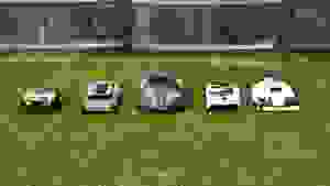 Five robot lawn mowers lined up together in the green grass with a fence behind