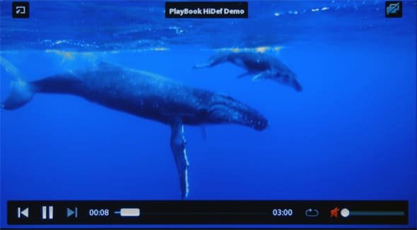 Video Controls Image