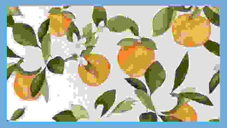 oranges wallpaper