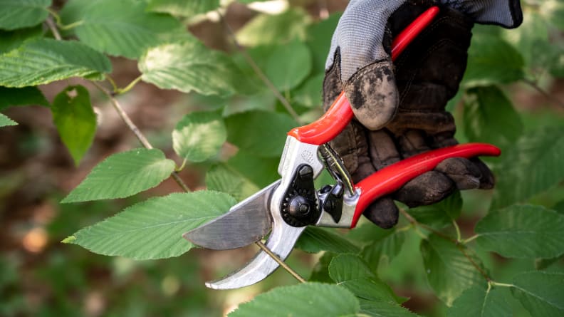 Best pruning shears in 2024: Tested and rated