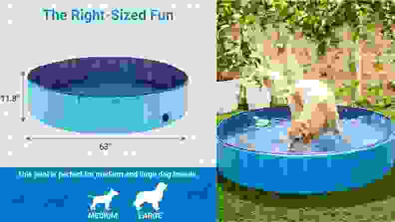 Left: An illustrated diagram indicates which size pool to order based on a dog's size; Left: A golden retriever plays in a filled swimming pool in a fenced backyard