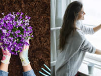 A pot of flowers and a woman opening a window