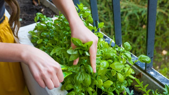 Things you should never put in your refrigerator