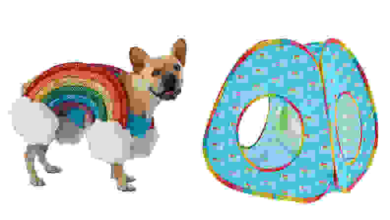 A dog in a rainbow outfit and a Pride themed cat play toy from Petsmart.