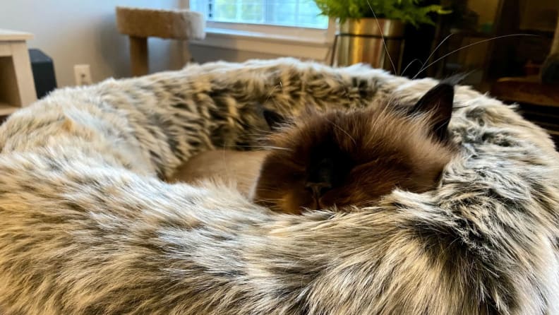 A cat snuggles in a Tuft and Paw Nuzzle, a doughnut-shaped bed covered in gray faux fur