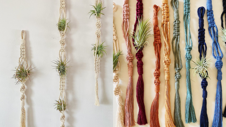 Plants hang on macrame on a white wall; a series of multicolored knotted yarns house plants.