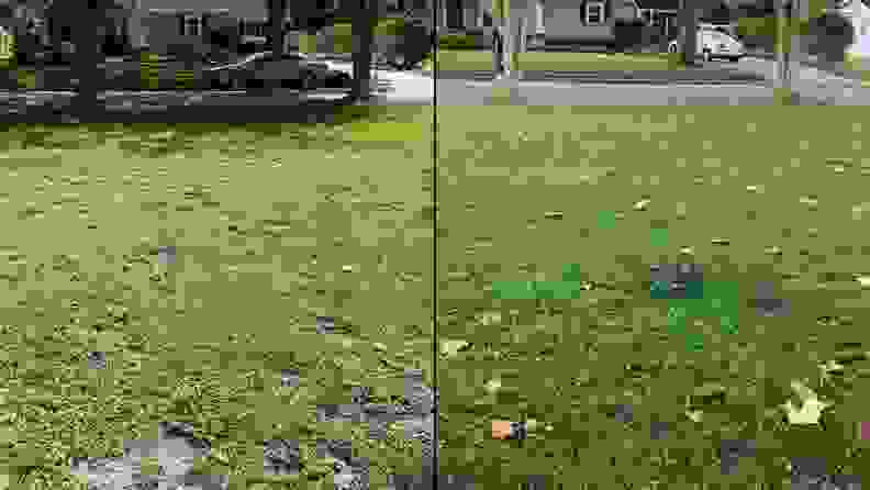 A side-by-side of a front yard before and after using lawn care treatments.