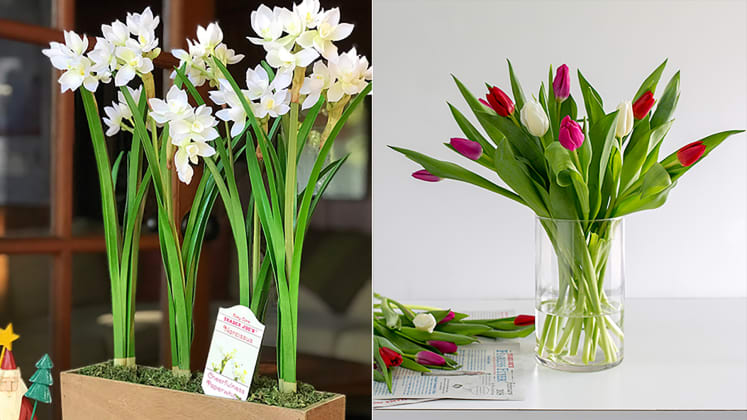 Valentines Day At Trader Rose >> Want To Buy Cheap Flowers Near You Try Your Local Trader Joe S Valentines Day At Trader Rose >> Want To Buy Cheap Flowers Near You Try Your Local Trader Joe S