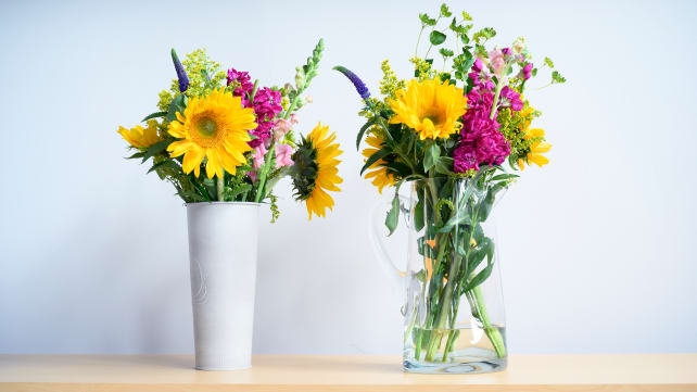 Baking_soda_flowers_day_1