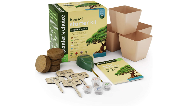 A bonsai tree starter kit.