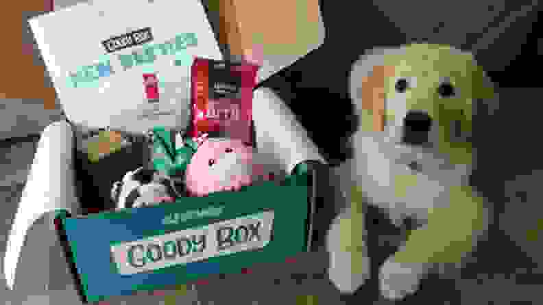 Dog posing next to goody box of toys