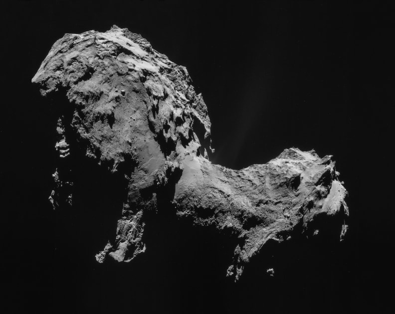 Rosetta Comet Portrait