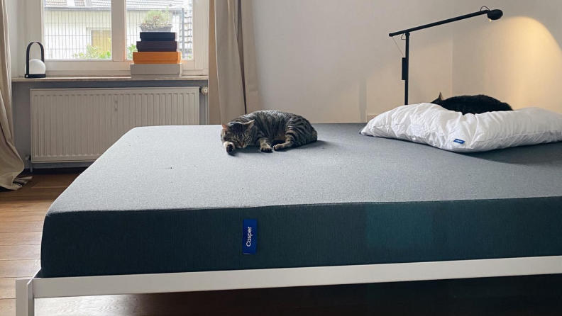 Casper mattress with a cat on it