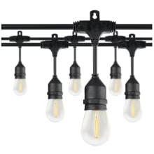 Product image of Honeywell 48-ft Plug-in Black Indoor/Outdoor String Light