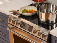 A close-up photo of the Fotile electric range highlighting the electric cooktop and the oven control knobs.