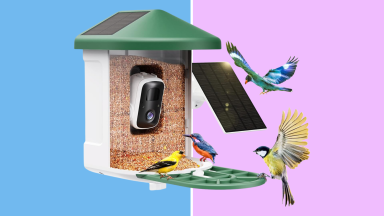 A gren-roofed Harymor smart birdfeeder with camera against a pink and blue background.